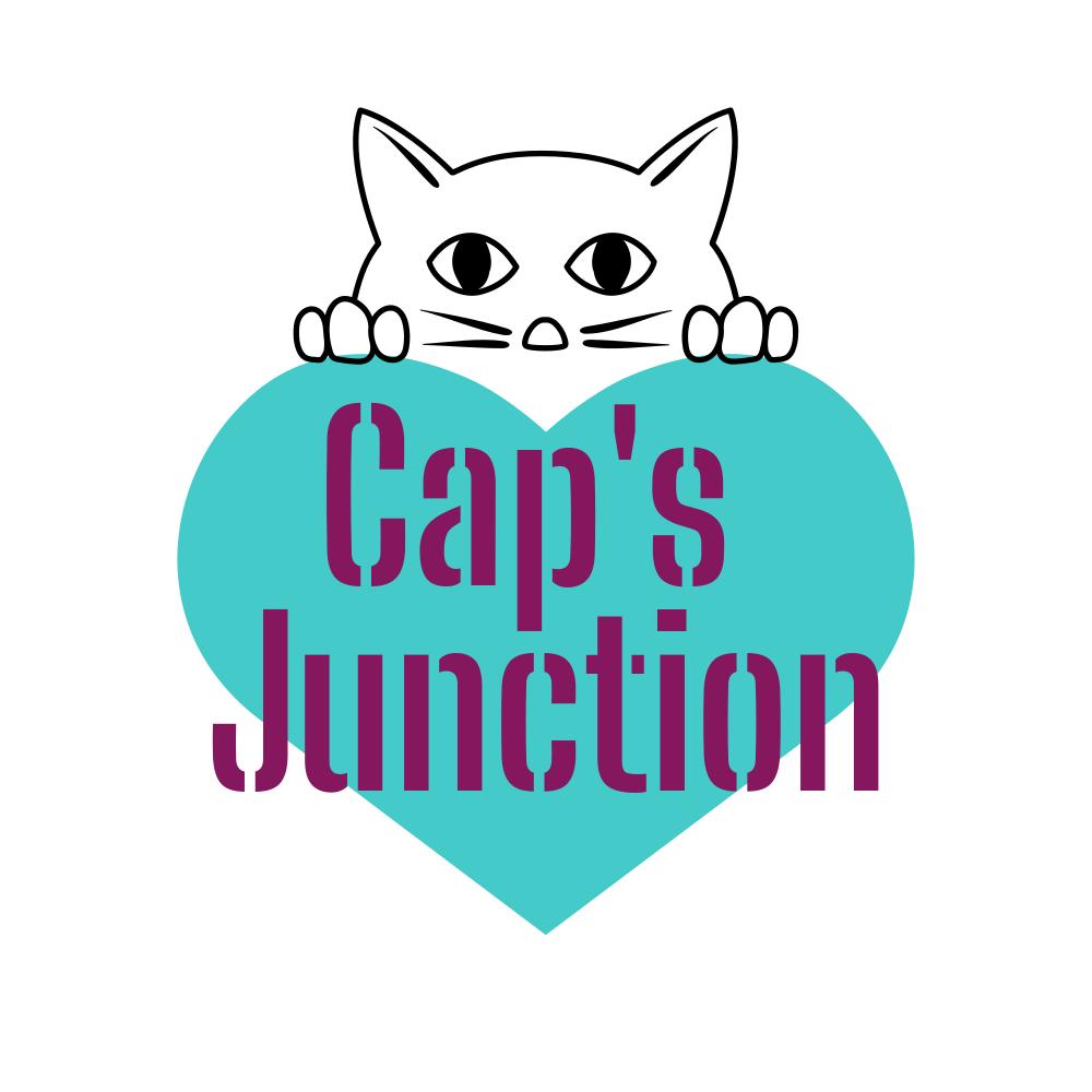 Let's Say Hello to Cap's Junction!